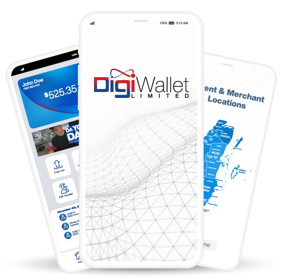 Digiwallet about us